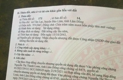 Cần Tiền bán gấp Đất nền Bảo Lộc-Lâm Đồng đón đầu Cao Tốc Dầu Dây Liên Khương